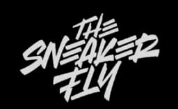 SneakersFly